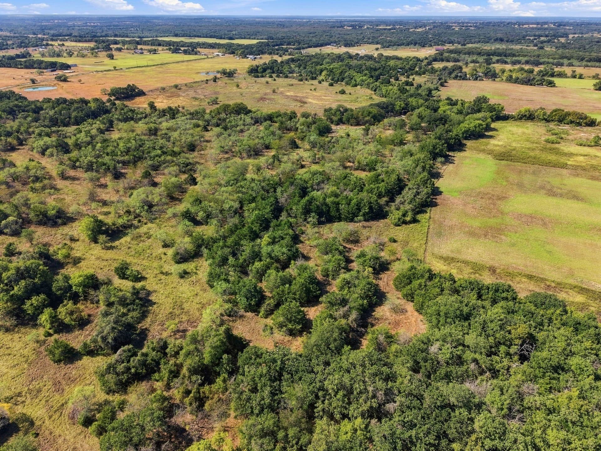 20 acres in Hill County - photo 10