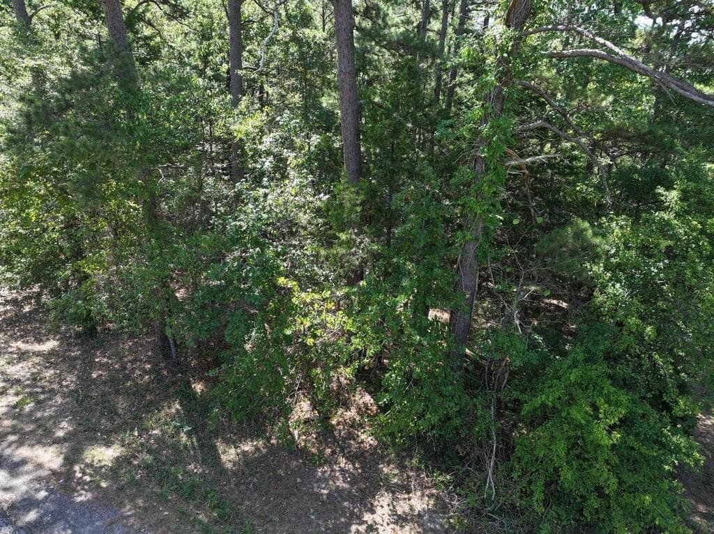 15.19 acres in Upshur County - photo 17