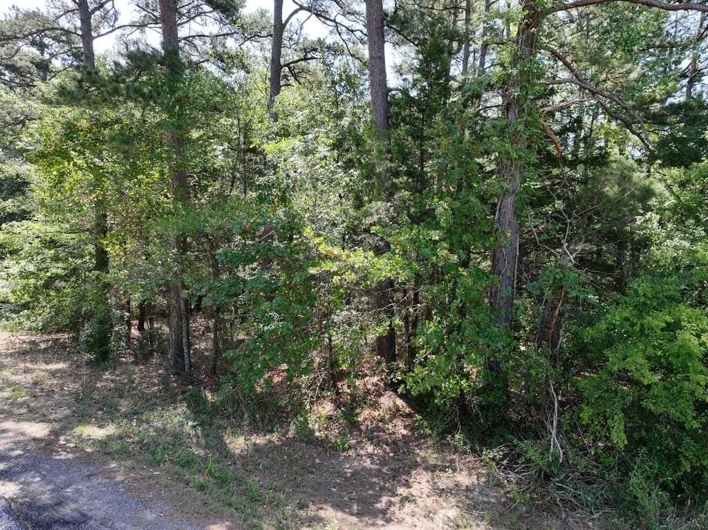 15.19 acres in Upshur County - photo 2