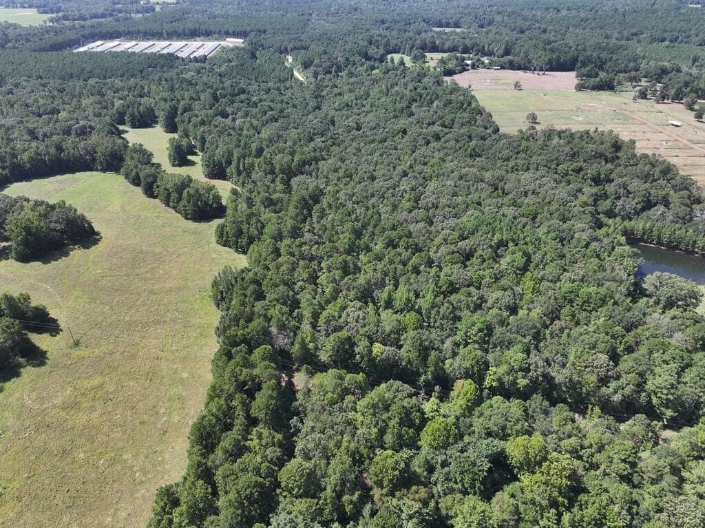 15.19 acres in Upshur County - photo 16