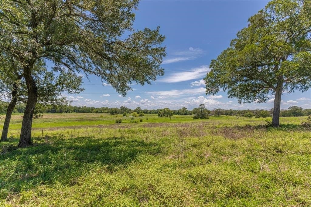 60.52 acres in Austin County