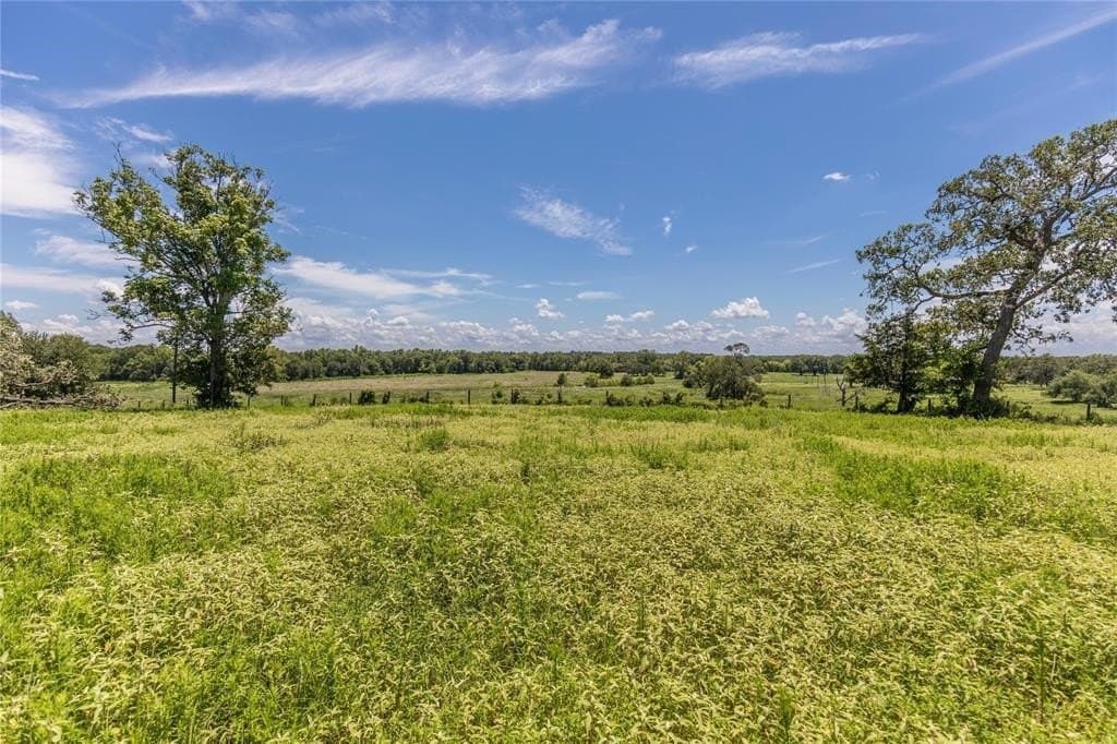 60.52 acres in Austin County featured view