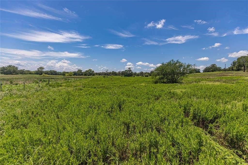 60.52 acres in Austin County gallery image 3