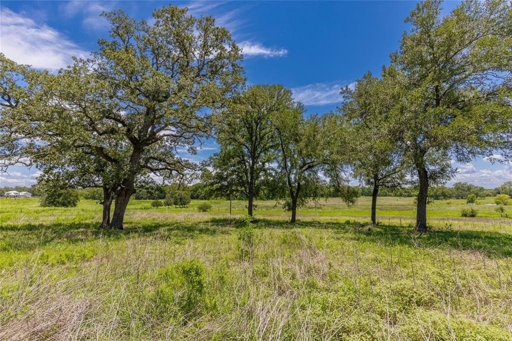 60.52 acres in Austin County gallery image 2