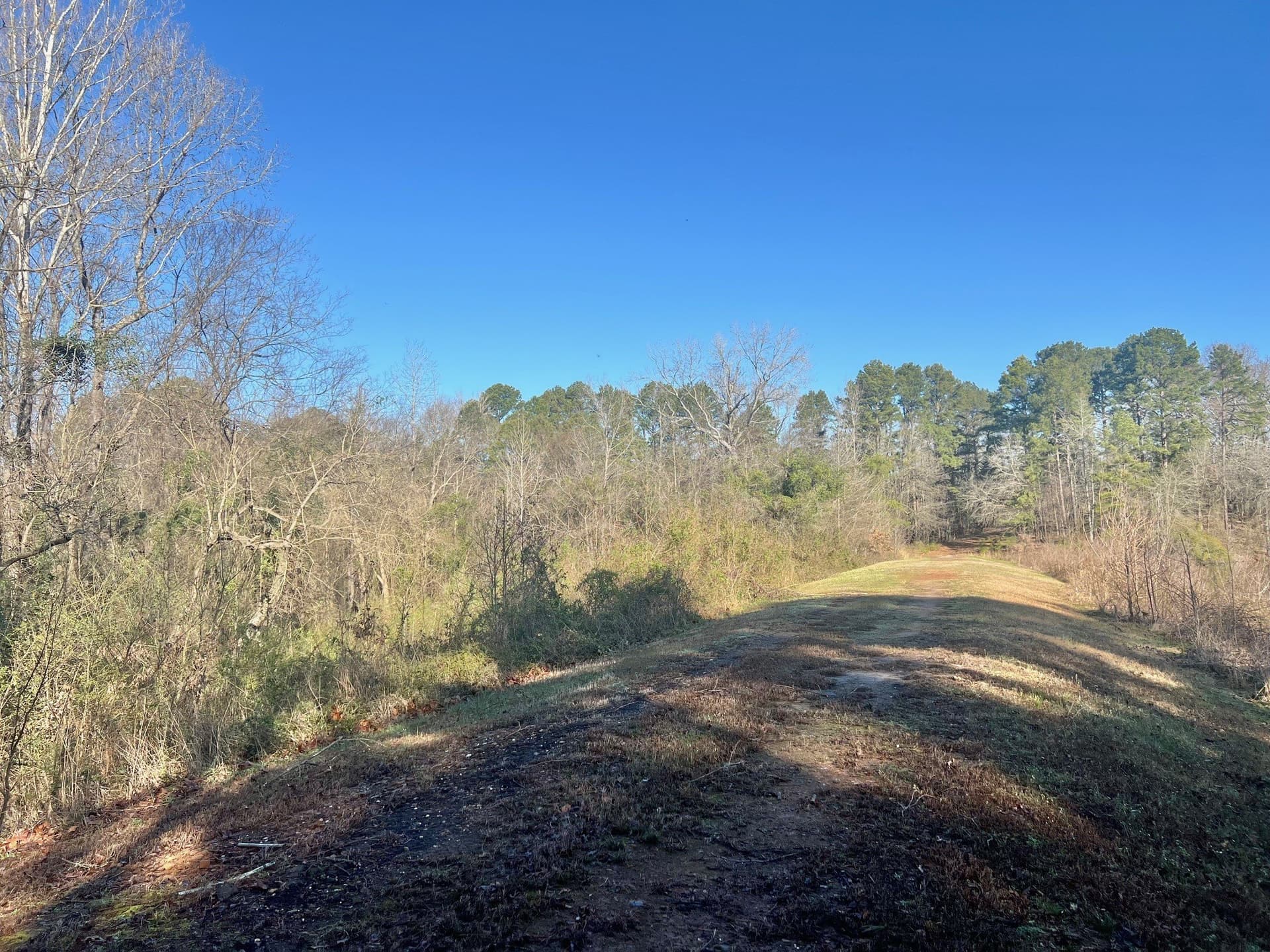 166.63 acres in Titus County - photo 3