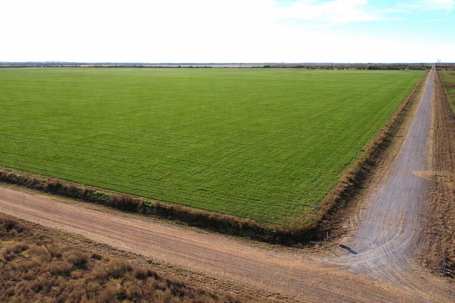 246 acres in Wichita County - photo 2