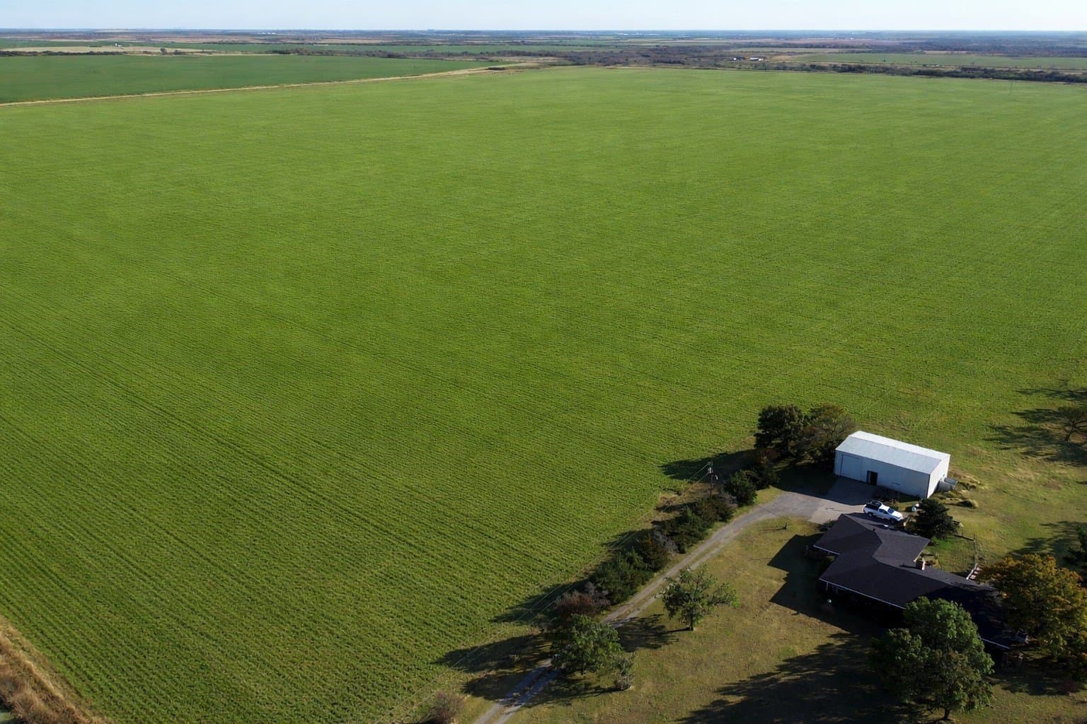246 acres in Wichita County