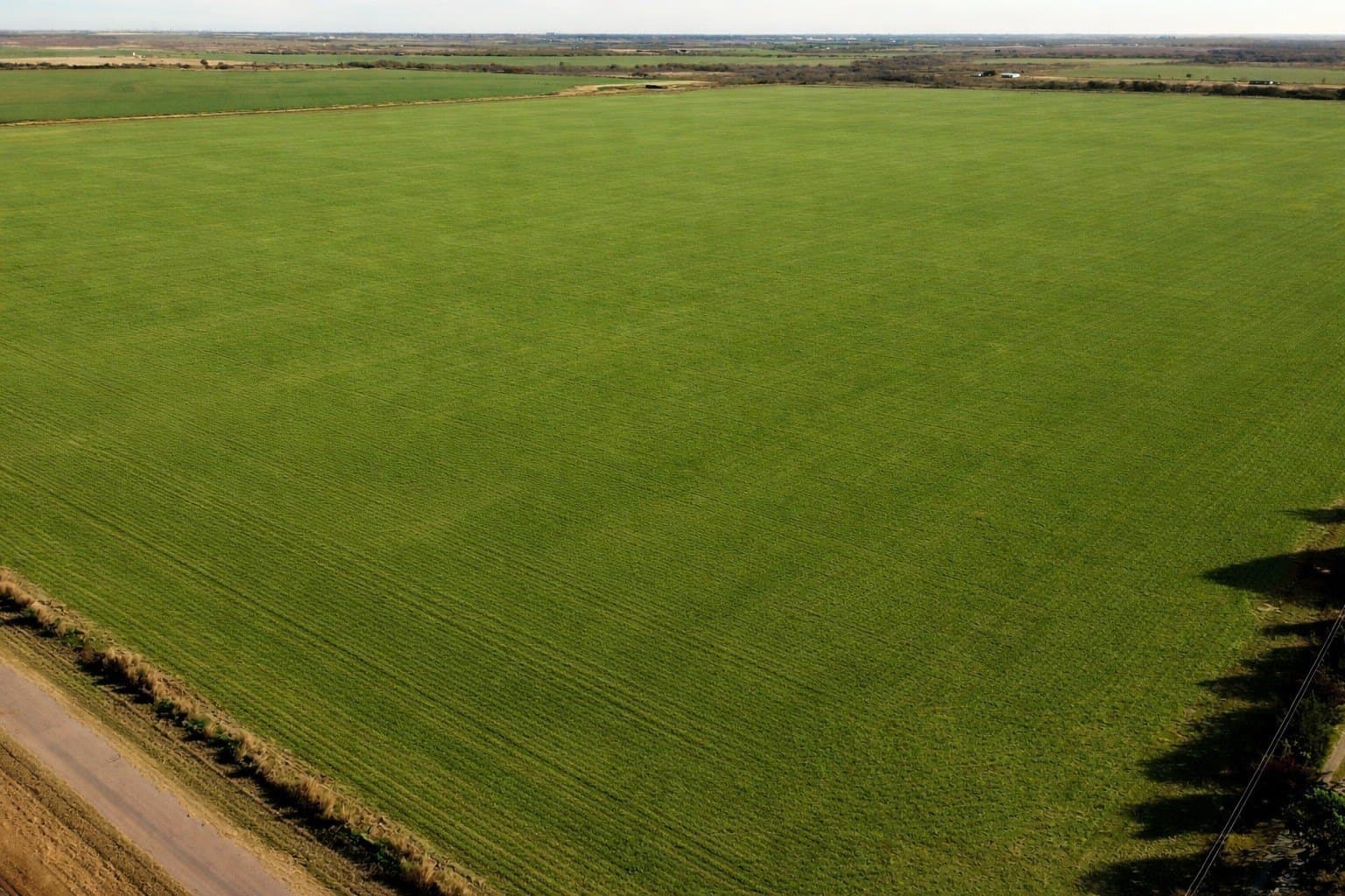 246 acres in Wichita County - photo 4