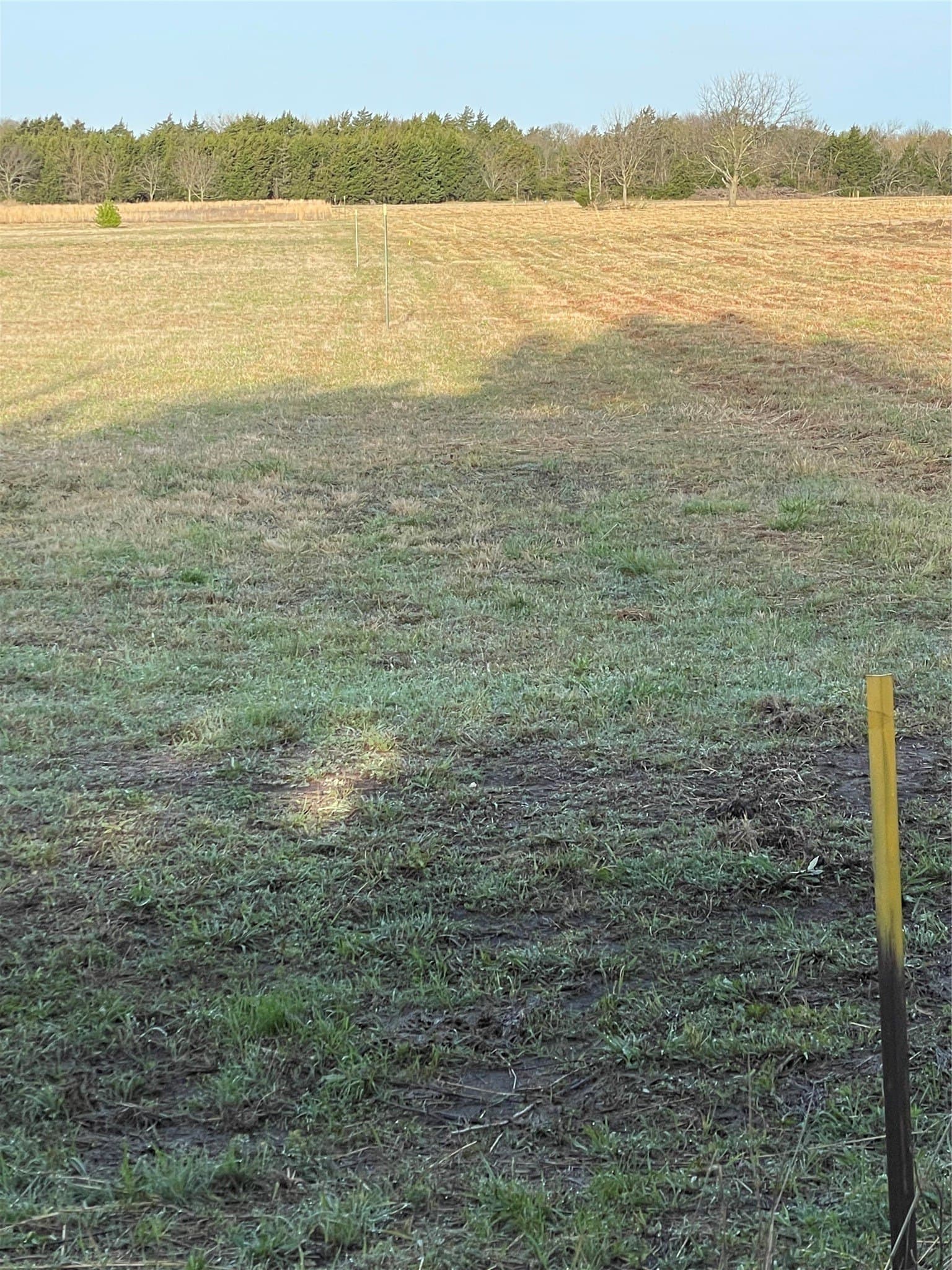 15 acres in Grayson County - photo 3
