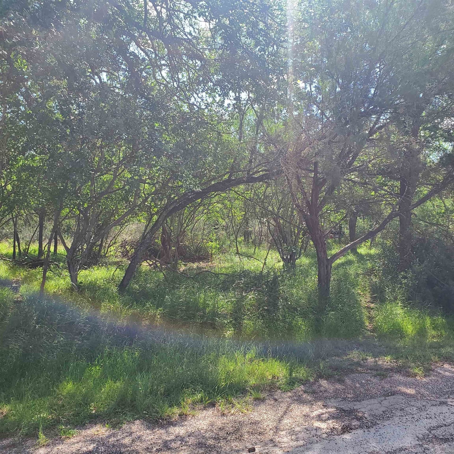 0.11 acres in Burnet County gallery image 2