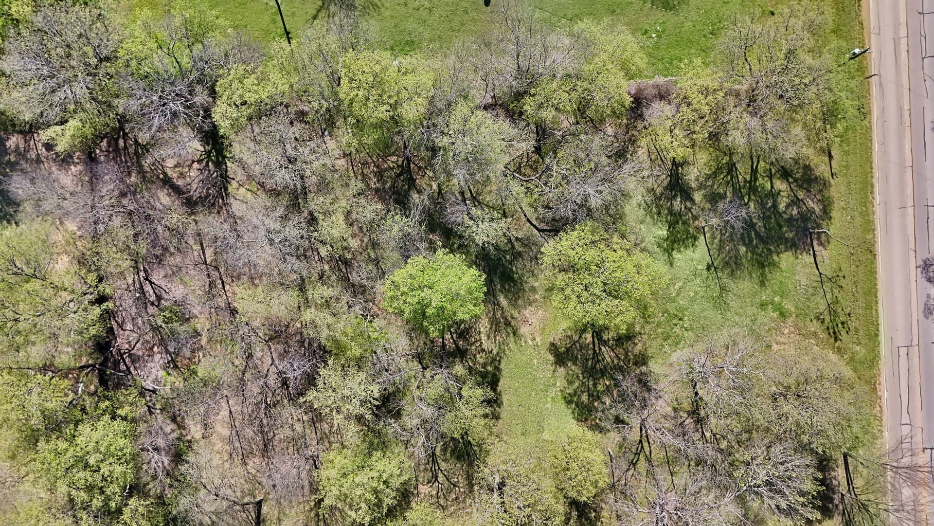 0.34 acres in Tarrant County featured view