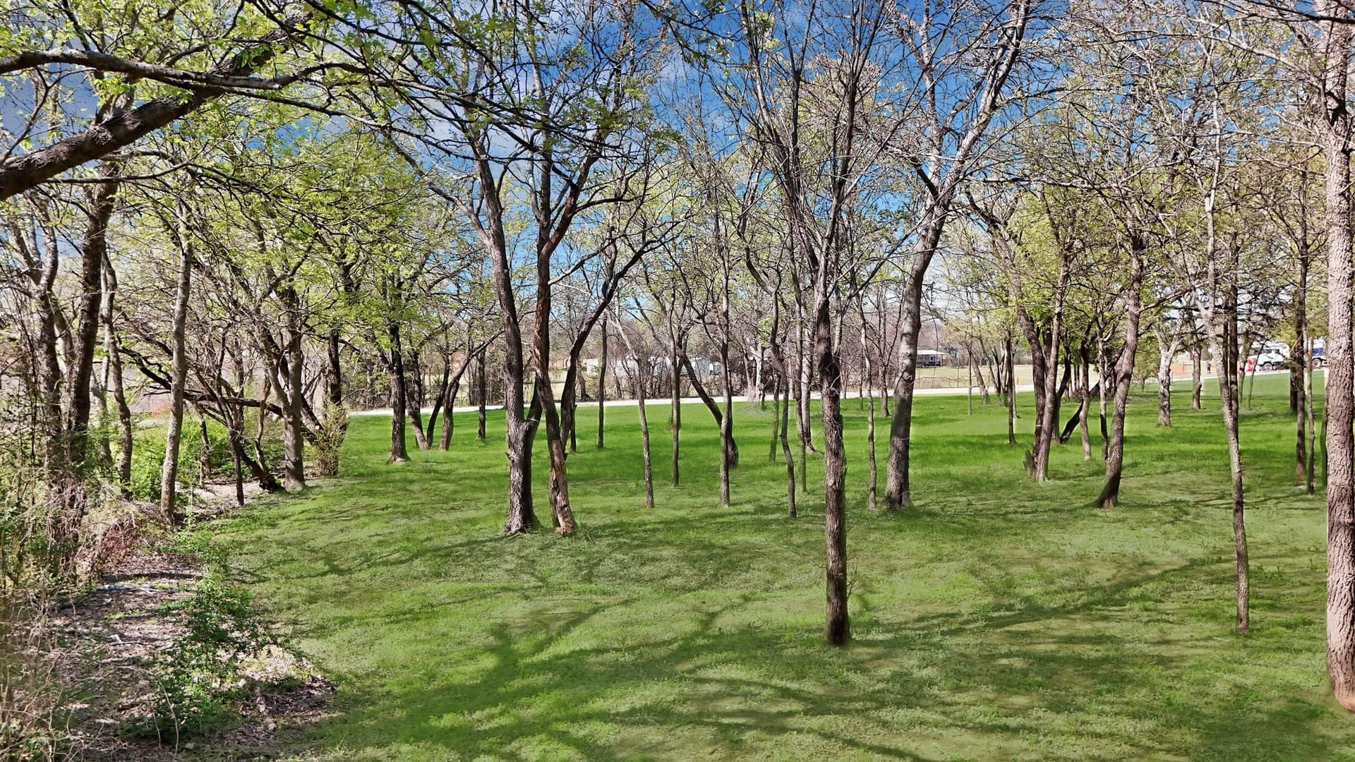0.34 acres in Tarrant County gallery image 4