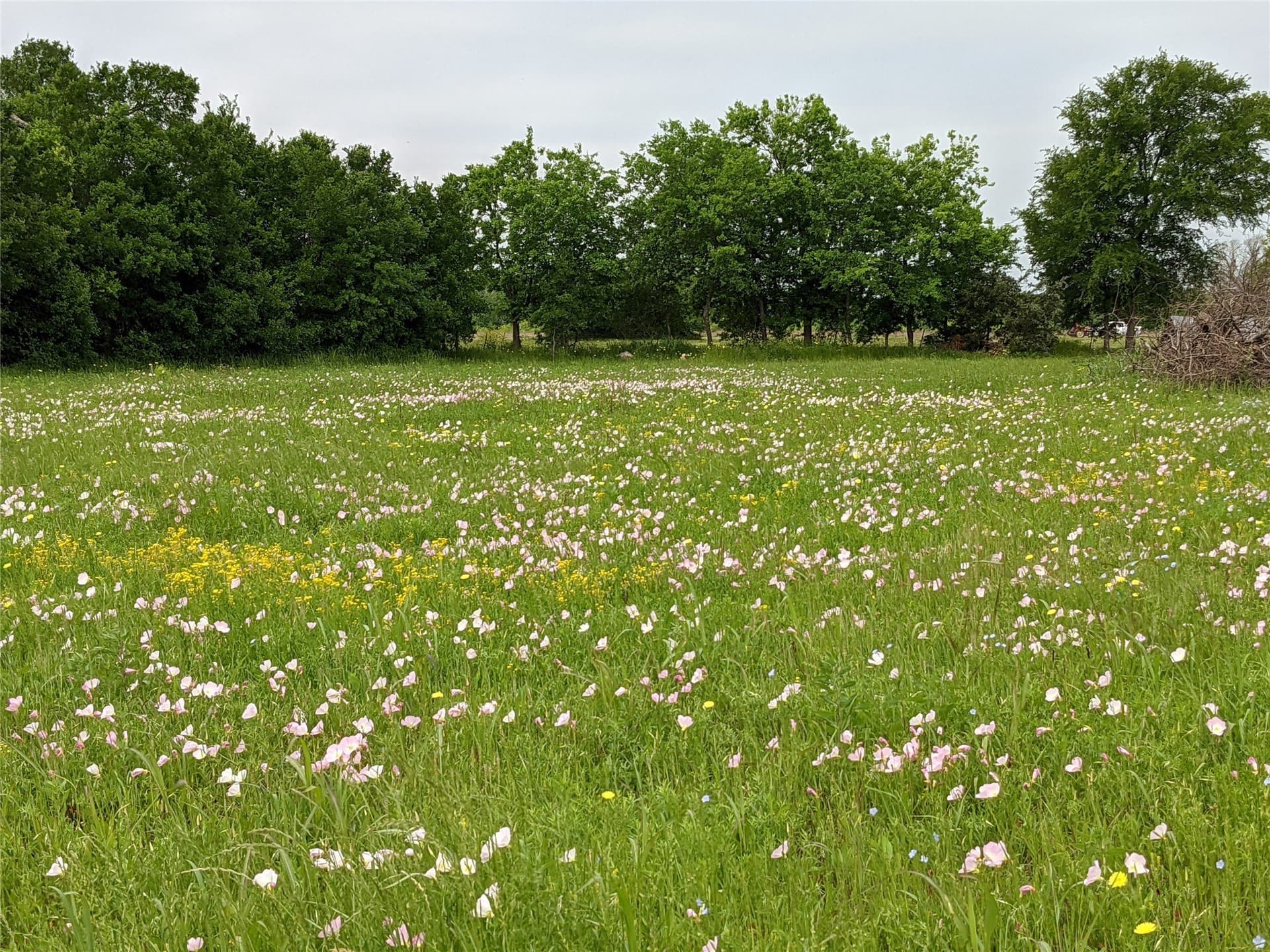 11.01 acres in Falls County - photo 11