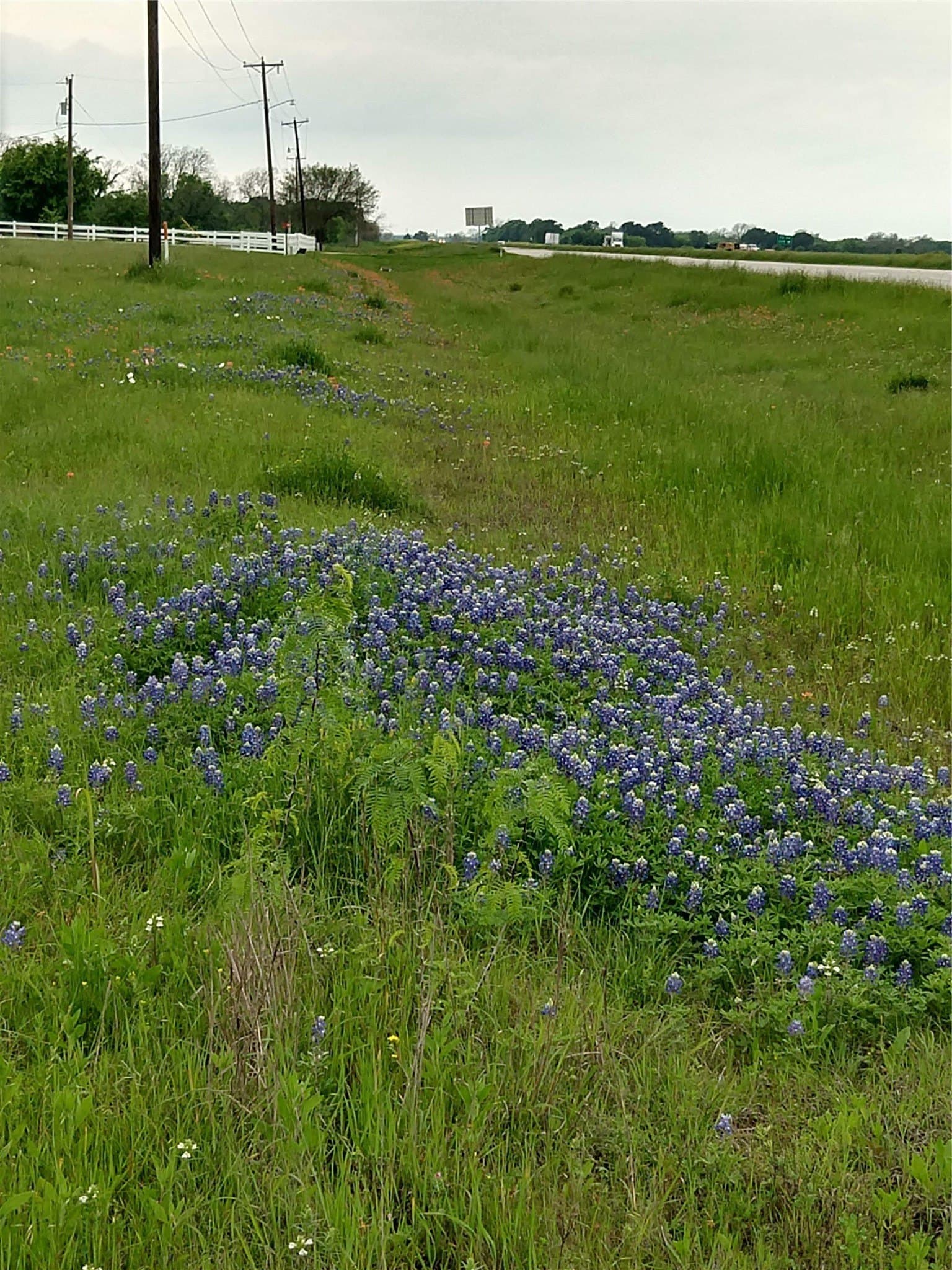 11.01 acres in Falls County - photo 8