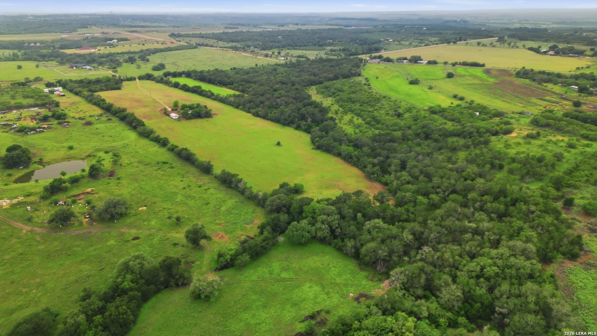 19.72 acres in Guadalupe County gallery image 4