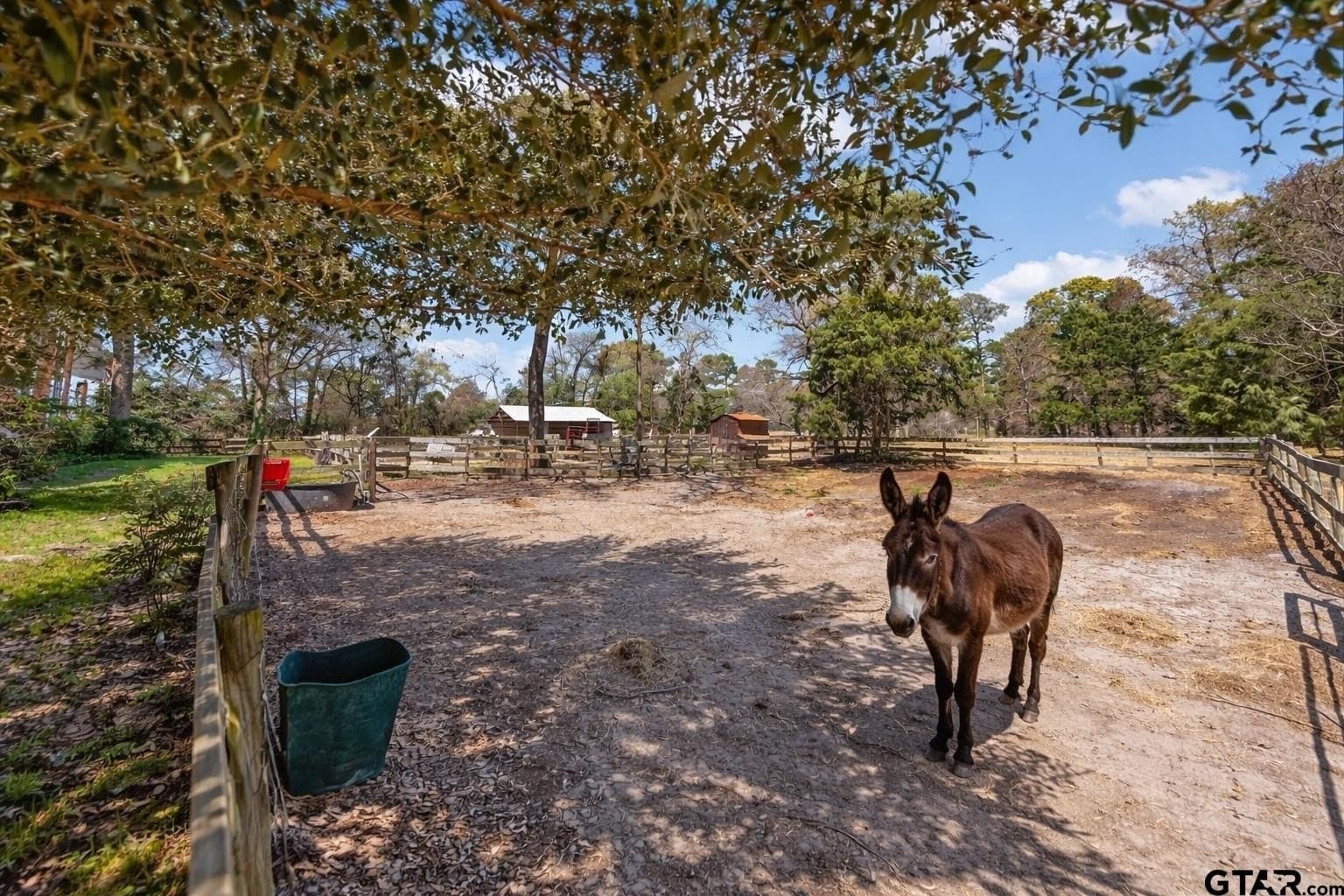 24.82 acres in Smith County - photo 32