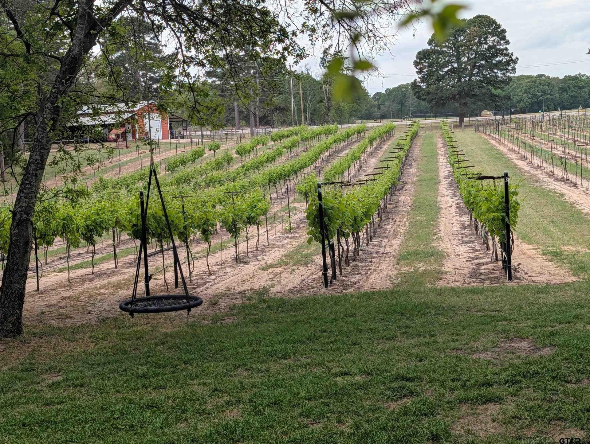 24.82 acres in Smith County - photo 33