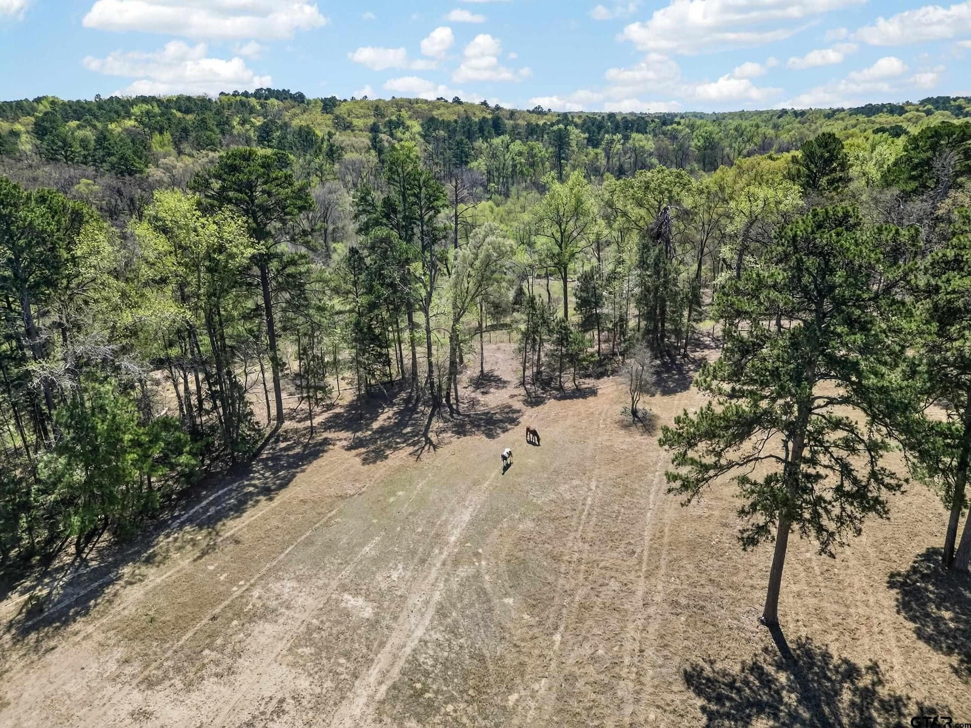 24.82 acres in Smith County - photo 31