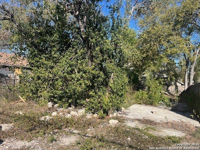 0.11 acres in Bexar County gallery image 3