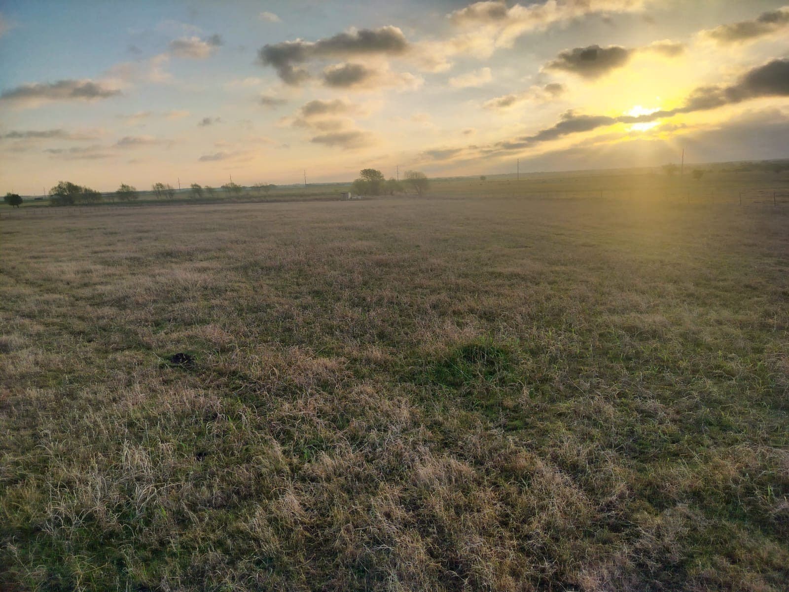 5.06 acres in Hill County - photo 6