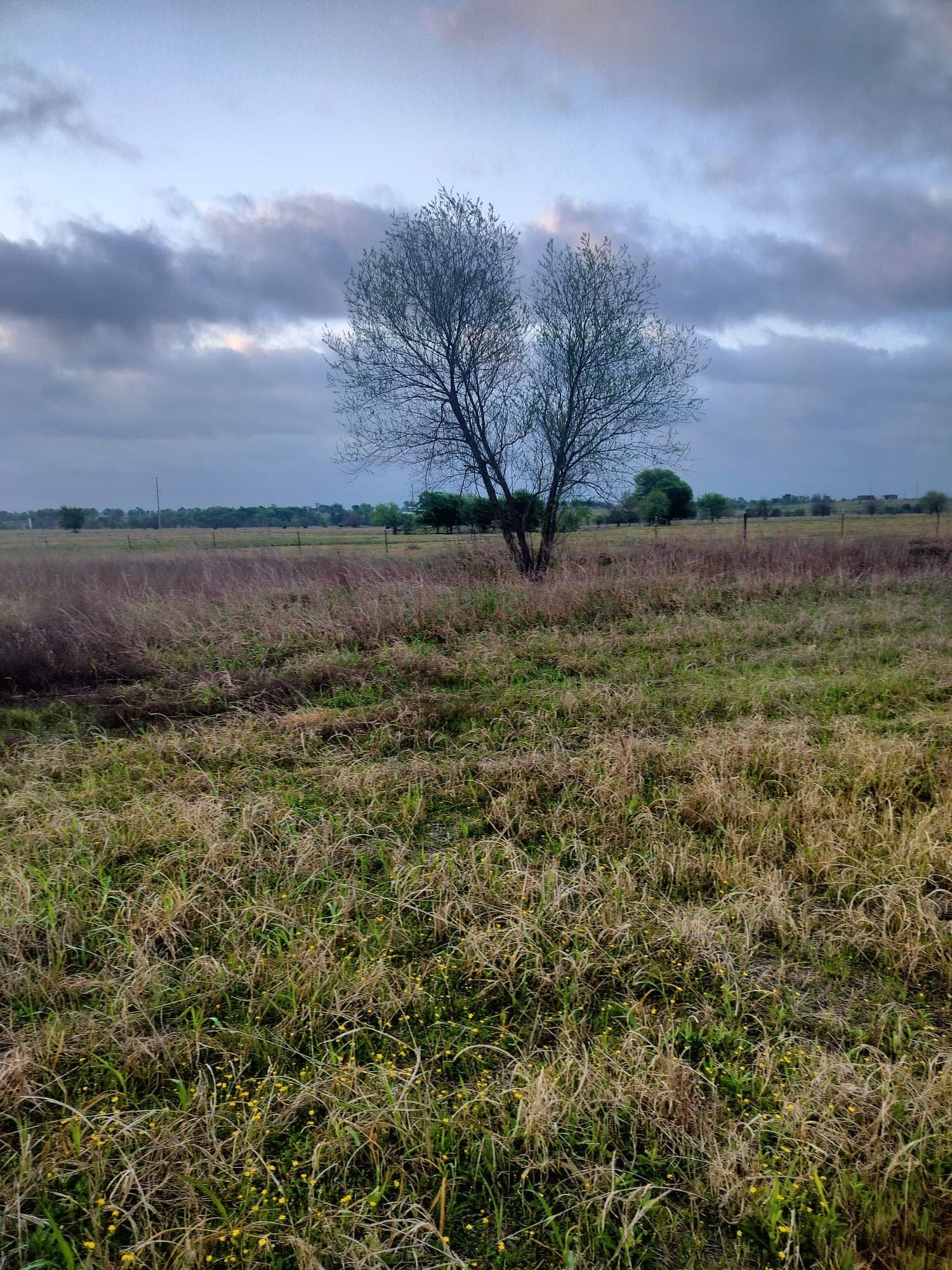 5.06 acres in Hill County - photo 8
