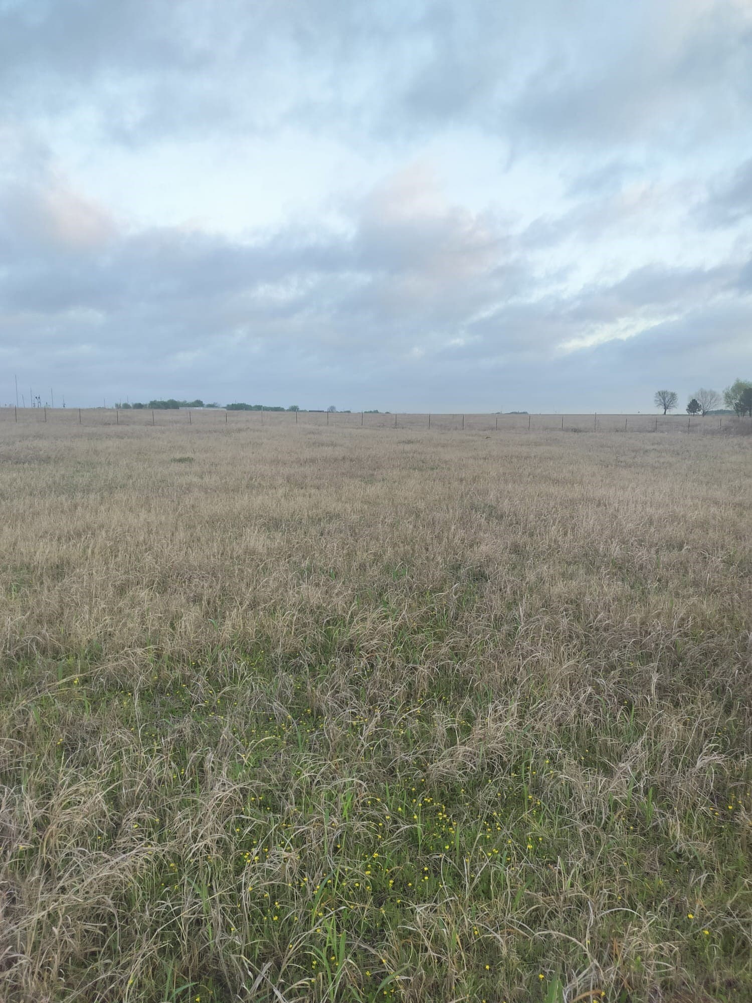 5.06 acres in Hill County - photo 7