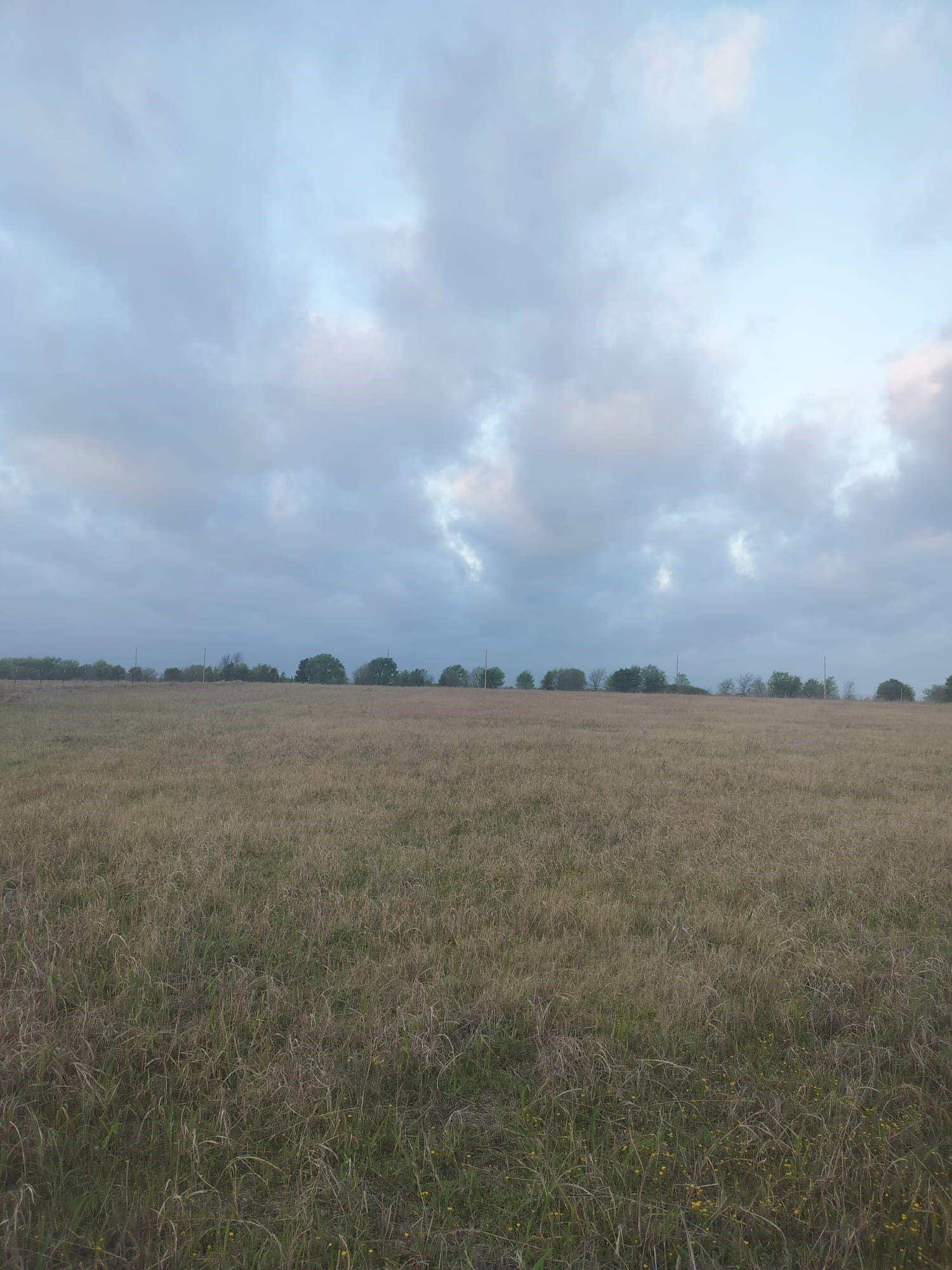 5.06 acres in Hill County featured view