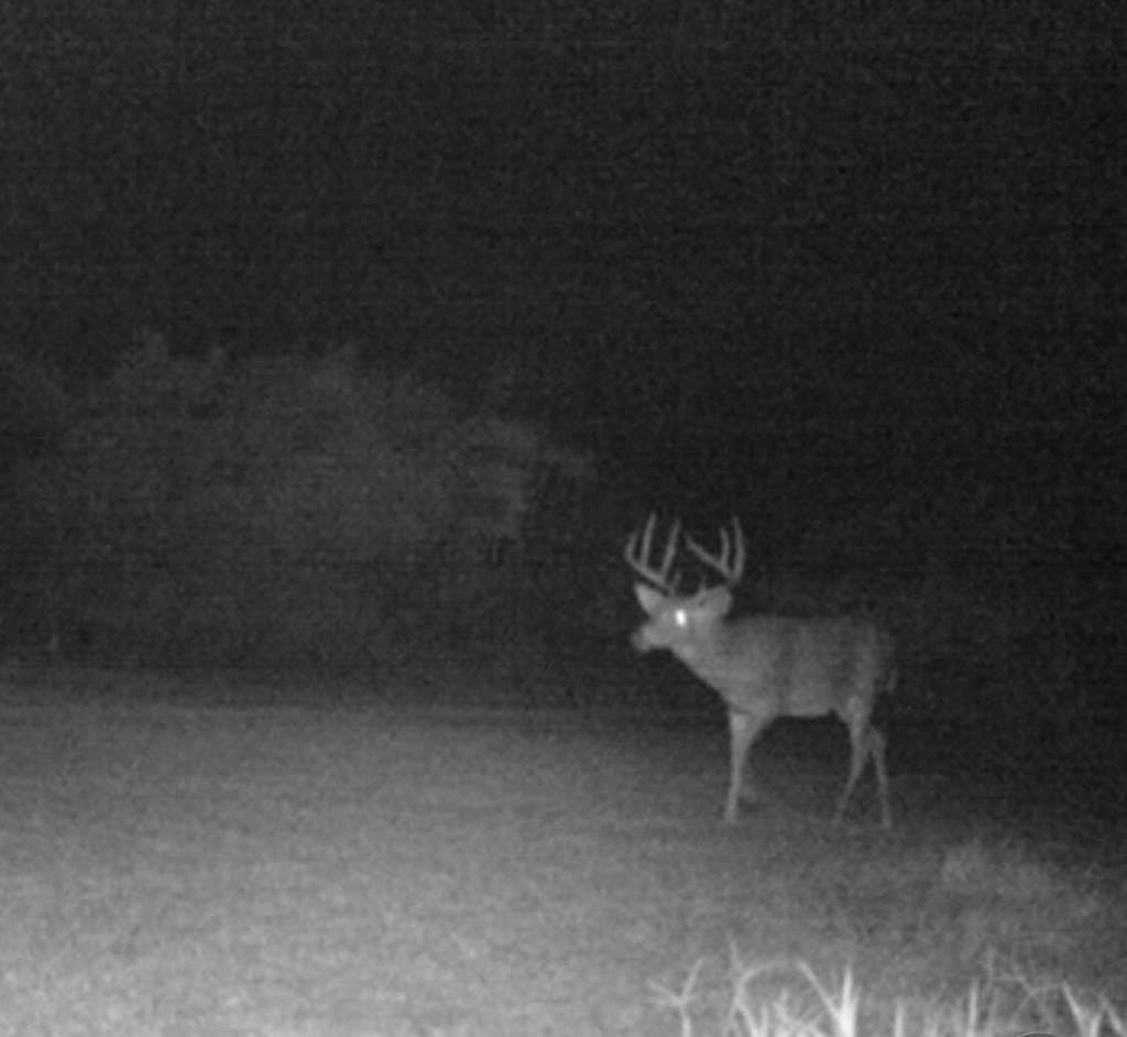 47 acres in Val Verde County - photo 21