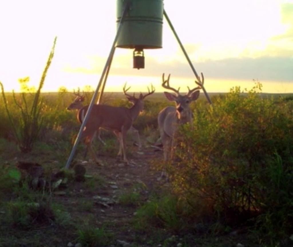 47 acres in Val Verde County - photo 22