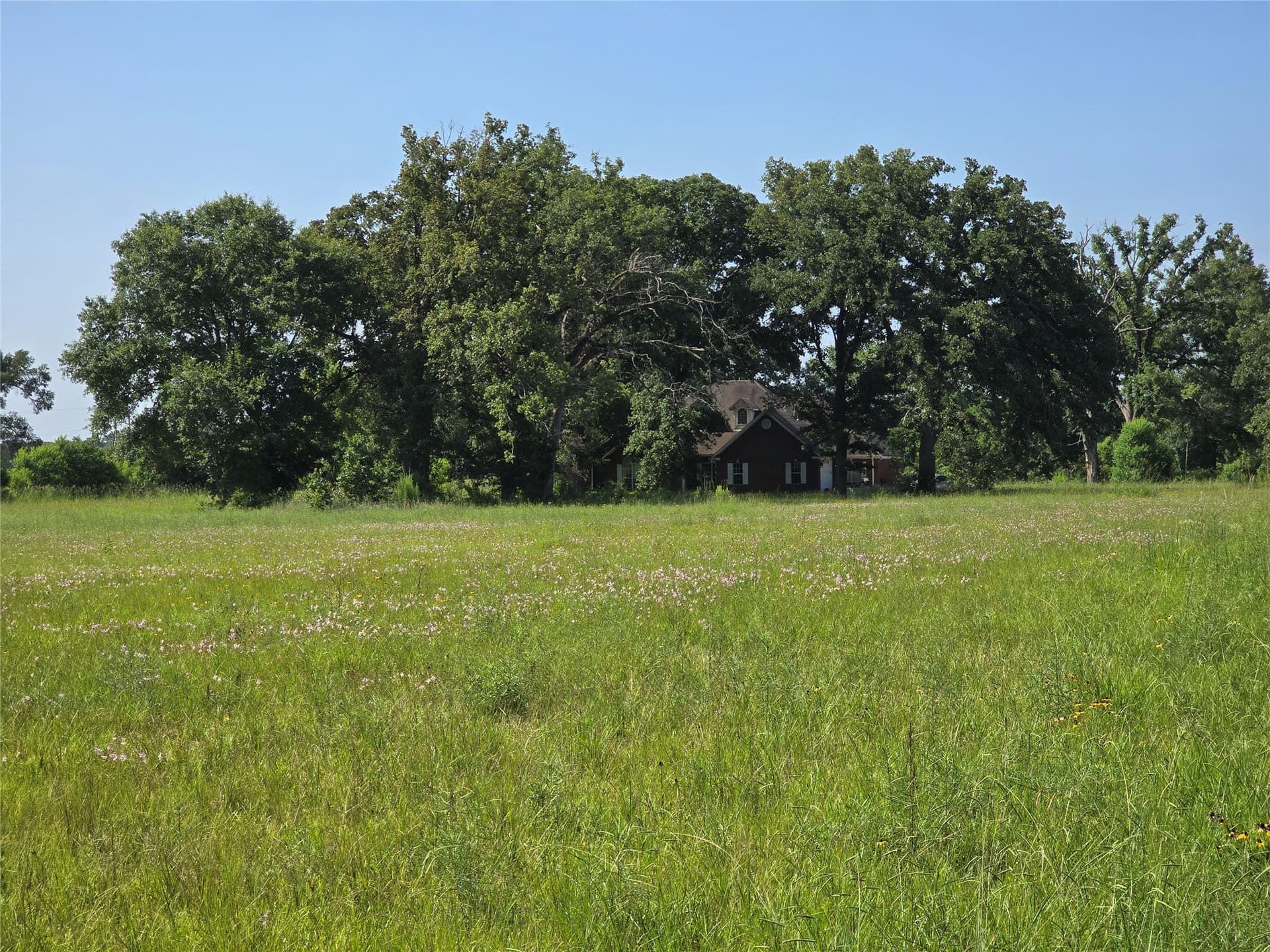 12.02 acres in Harrison County - photo 32