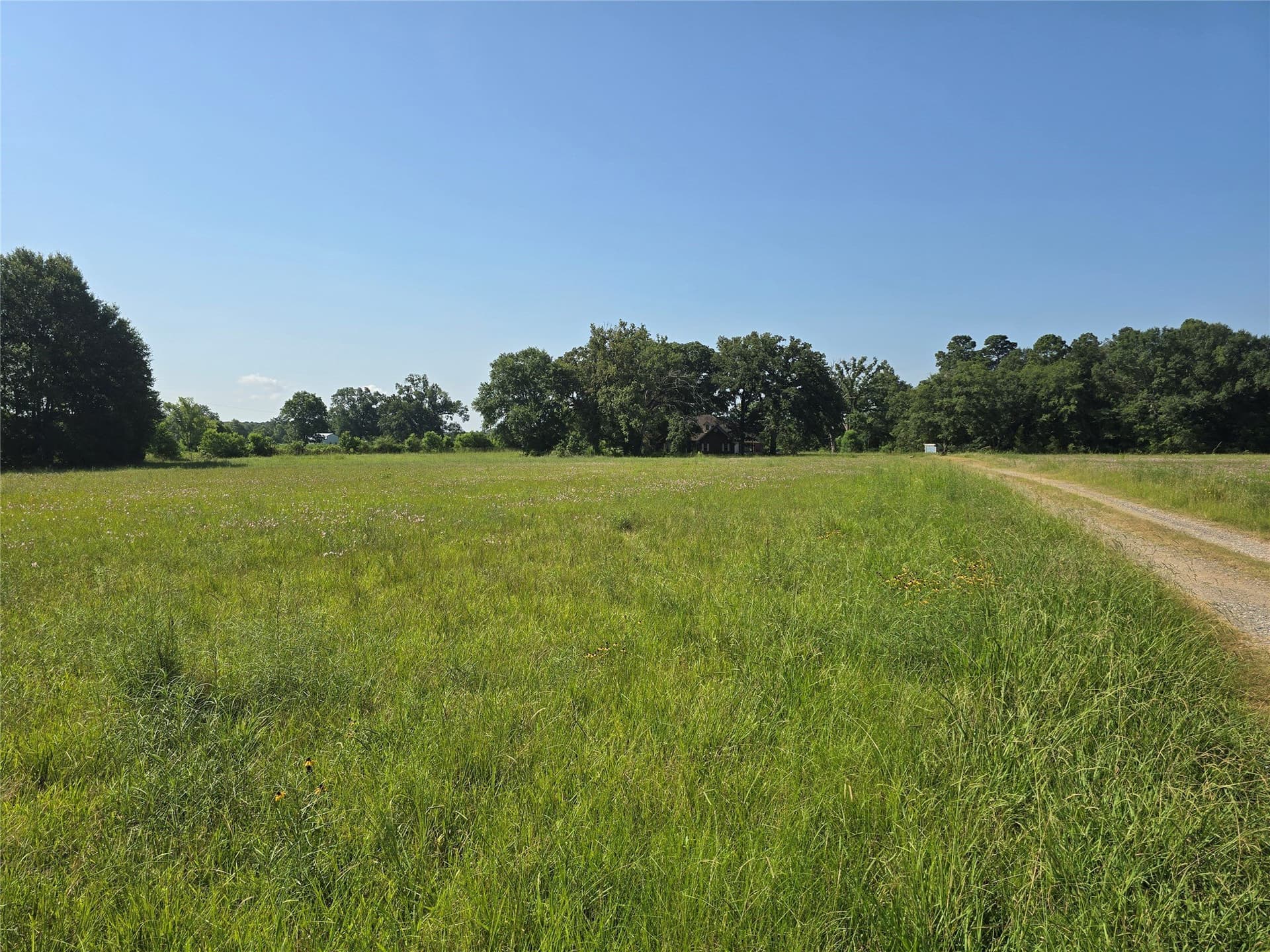 12.02 acres in Harrison County - photo 34