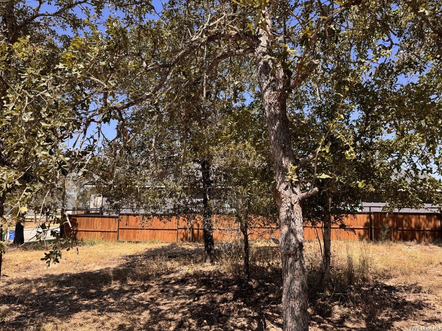 0.3 acres in Wilson County - photo 4