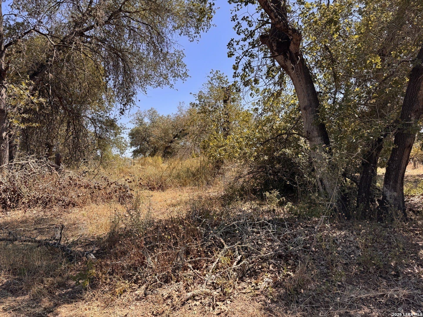 0.3 acres in Wilson County - photo 5