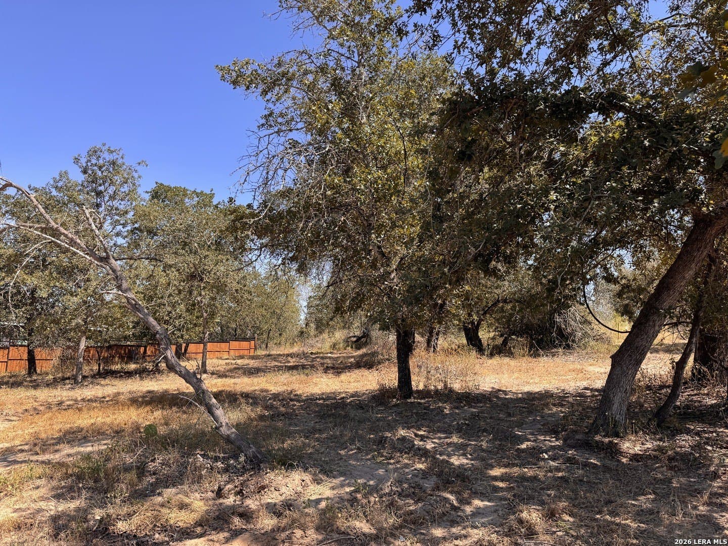 0.3 acres in Wilson County - photo 2