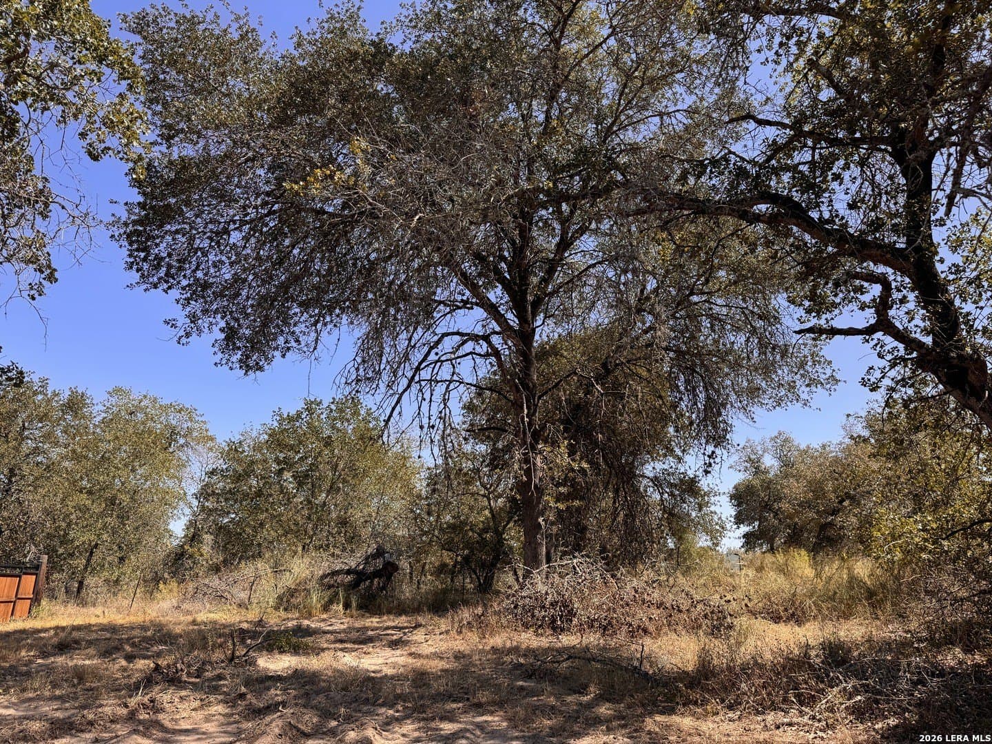 0.3 acres in Wilson County