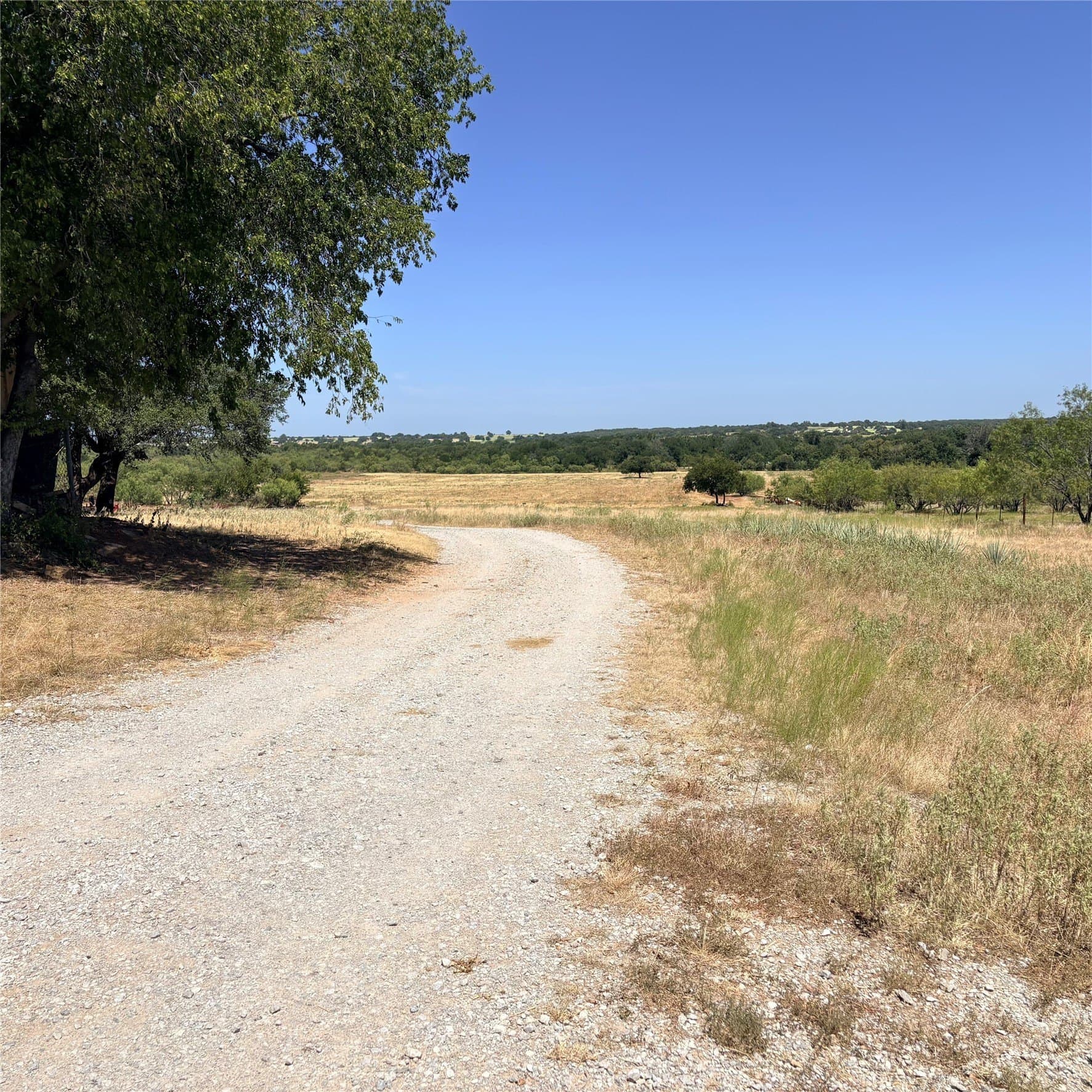 201 acres in Hood County - photo 6