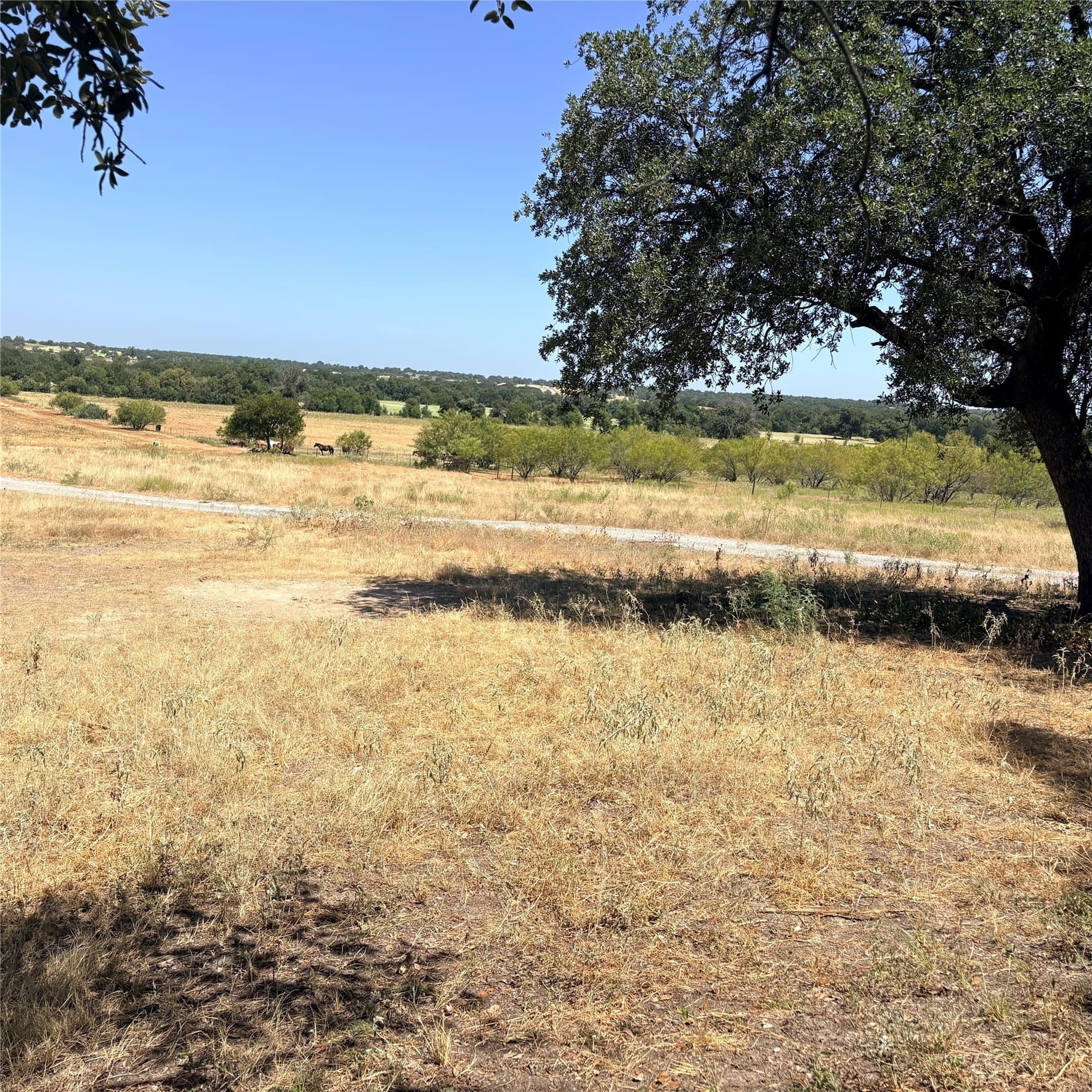 201 acres in Hood County - photo 7