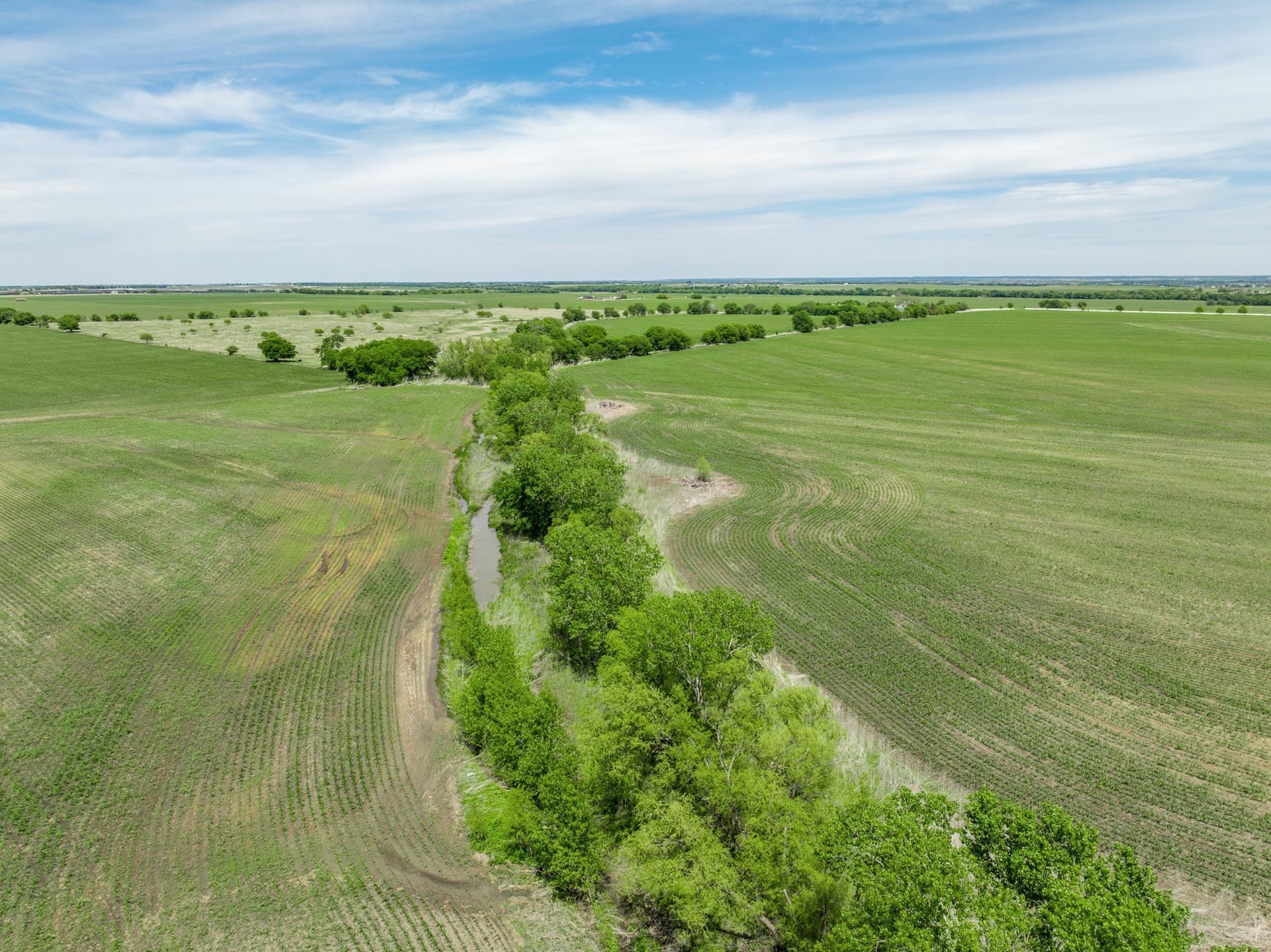 10.01 acres in Hill County - photo 4