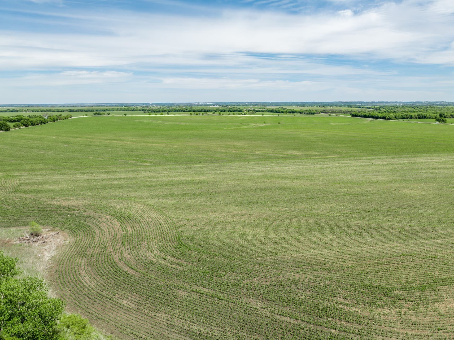 10.01 acres in Hill County - photo 7
