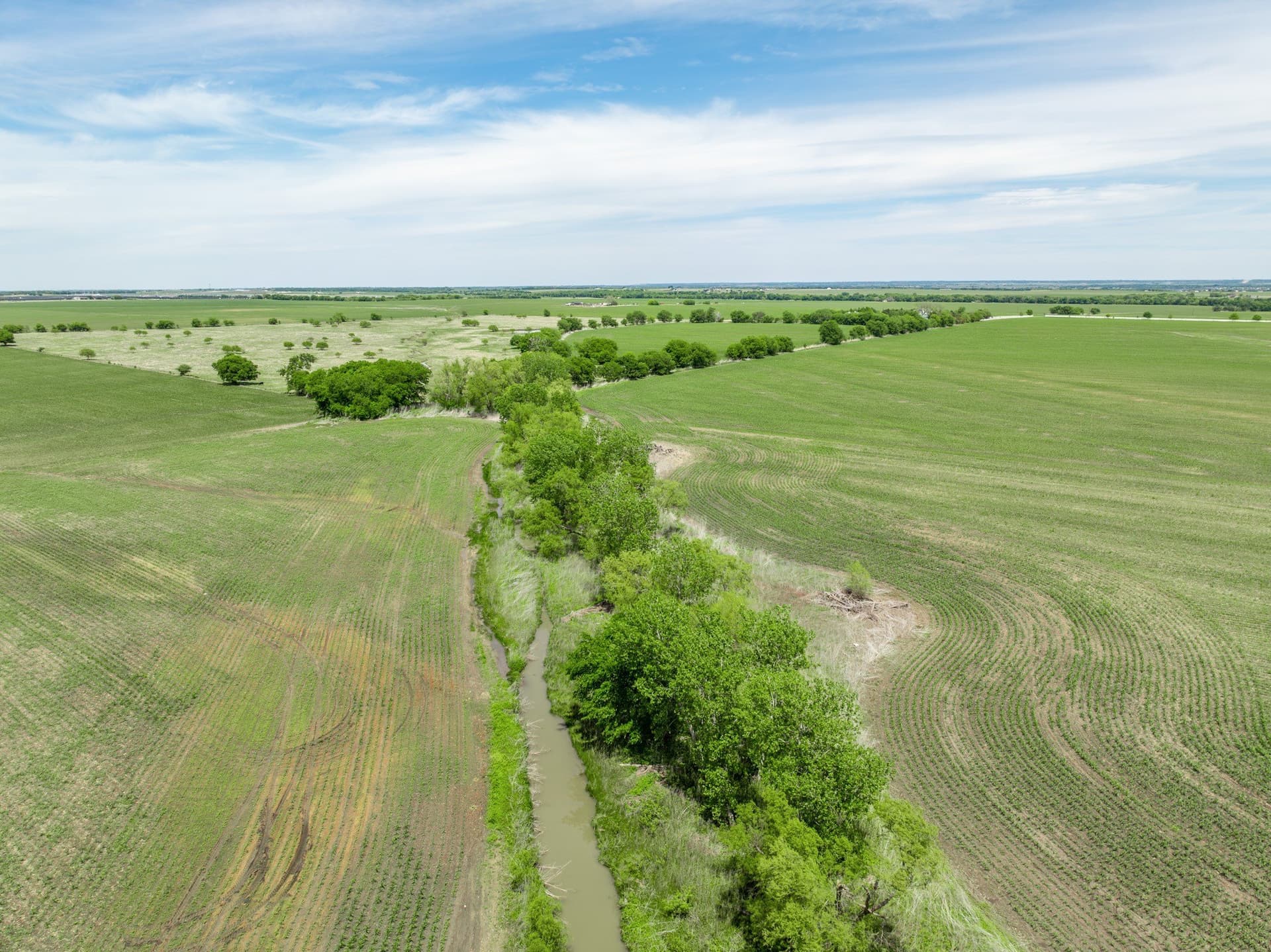 10.01 acres in Hill County - photo 5