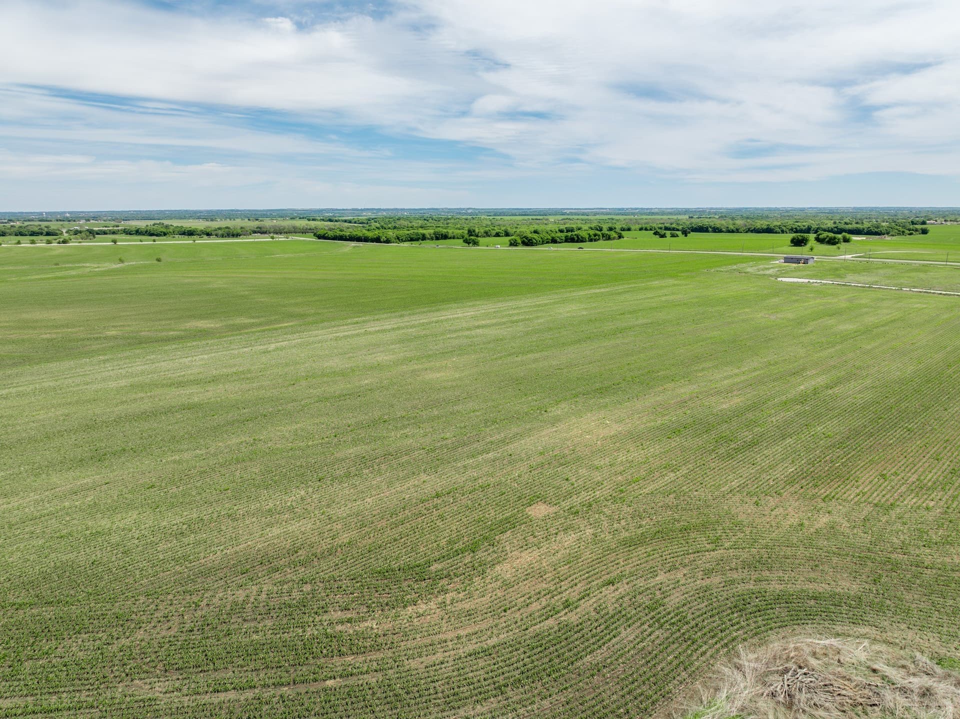 10.01 acres in Hill County - photo 6