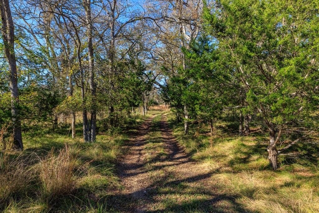 26.35 acres in Gillespie County - photo 45