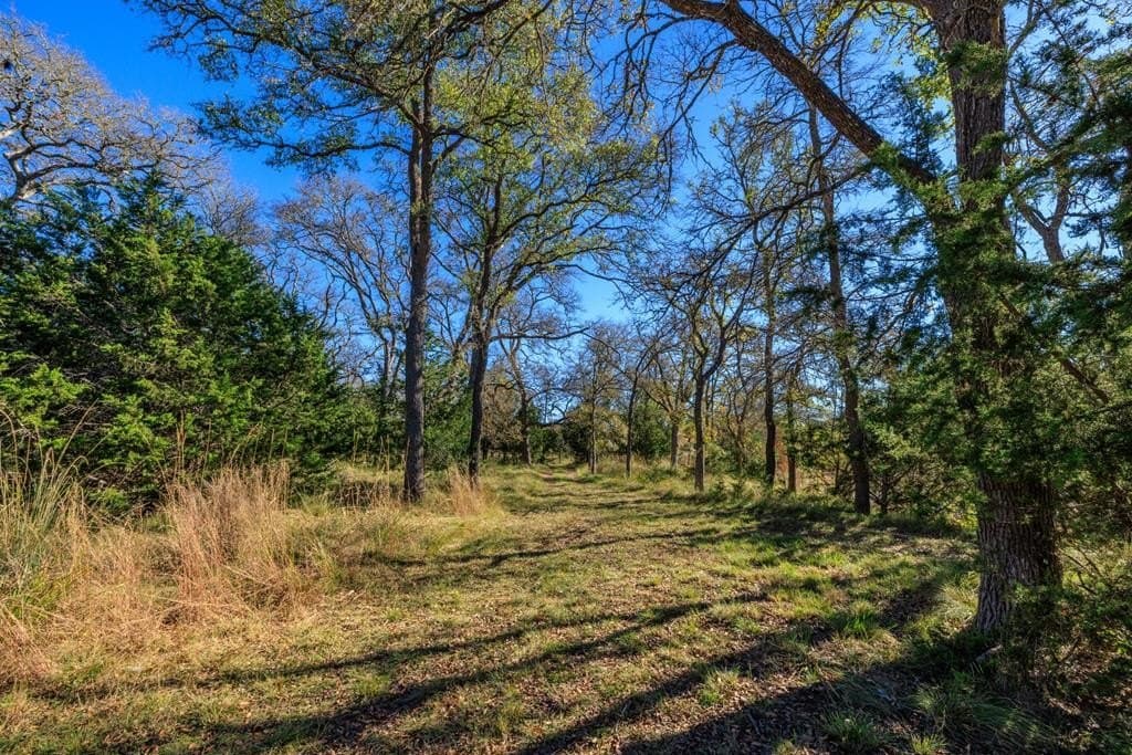 26.35 acres in Gillespie County - photo 49