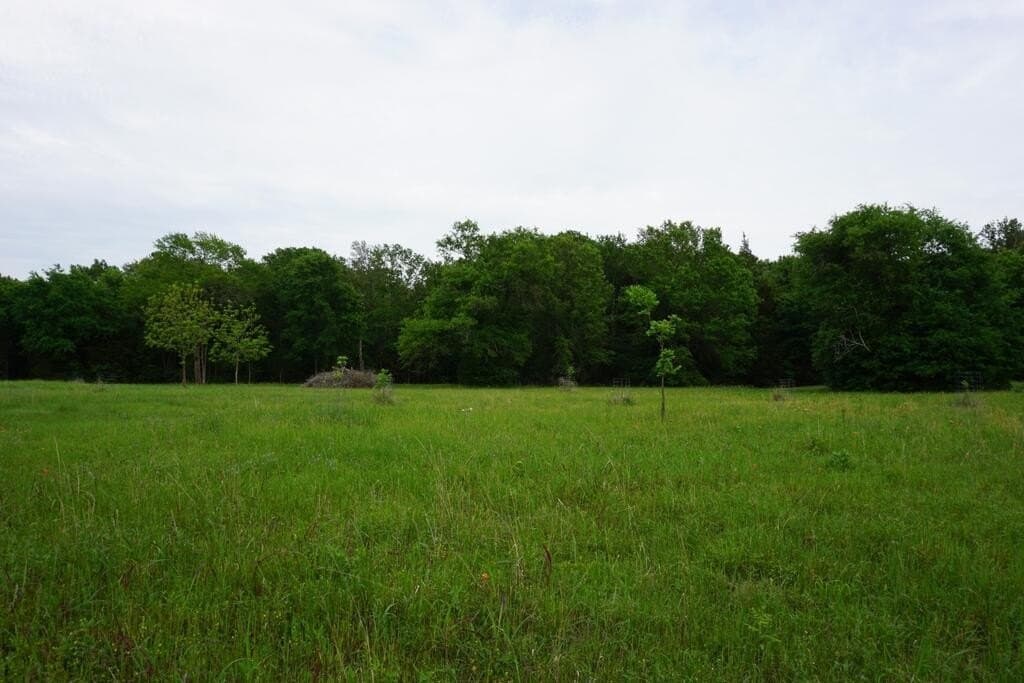 45 acres in Henderson County - photo 3