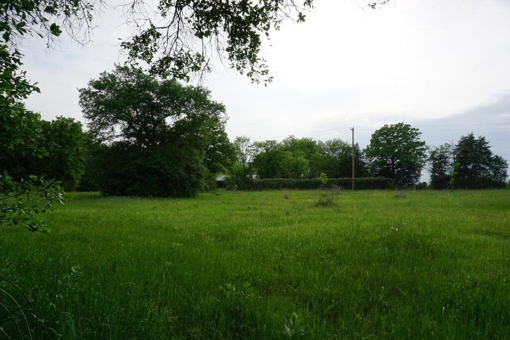 45 acres in Henderson County - photo 34
