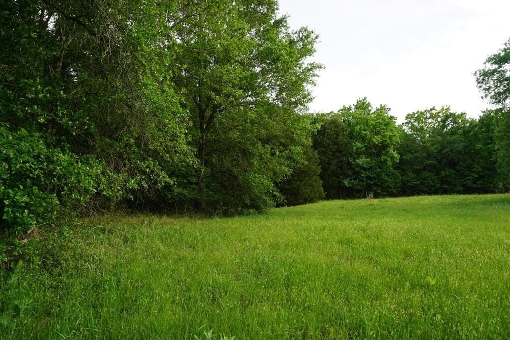 45 acres in Henderson County - photo 9