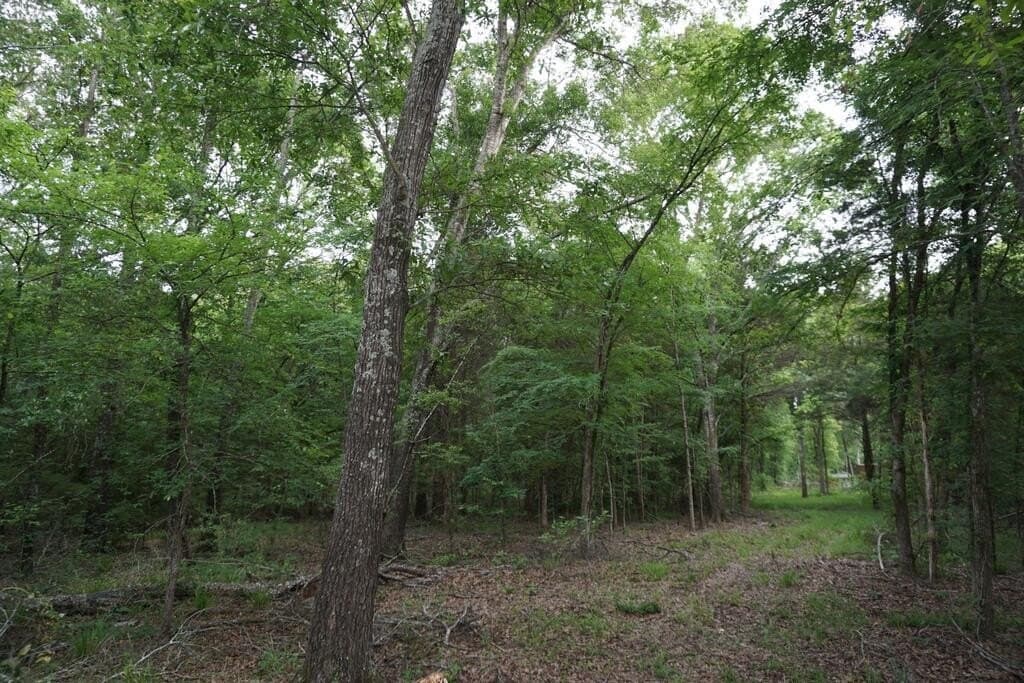 45 acres in Henderson County - photo 33