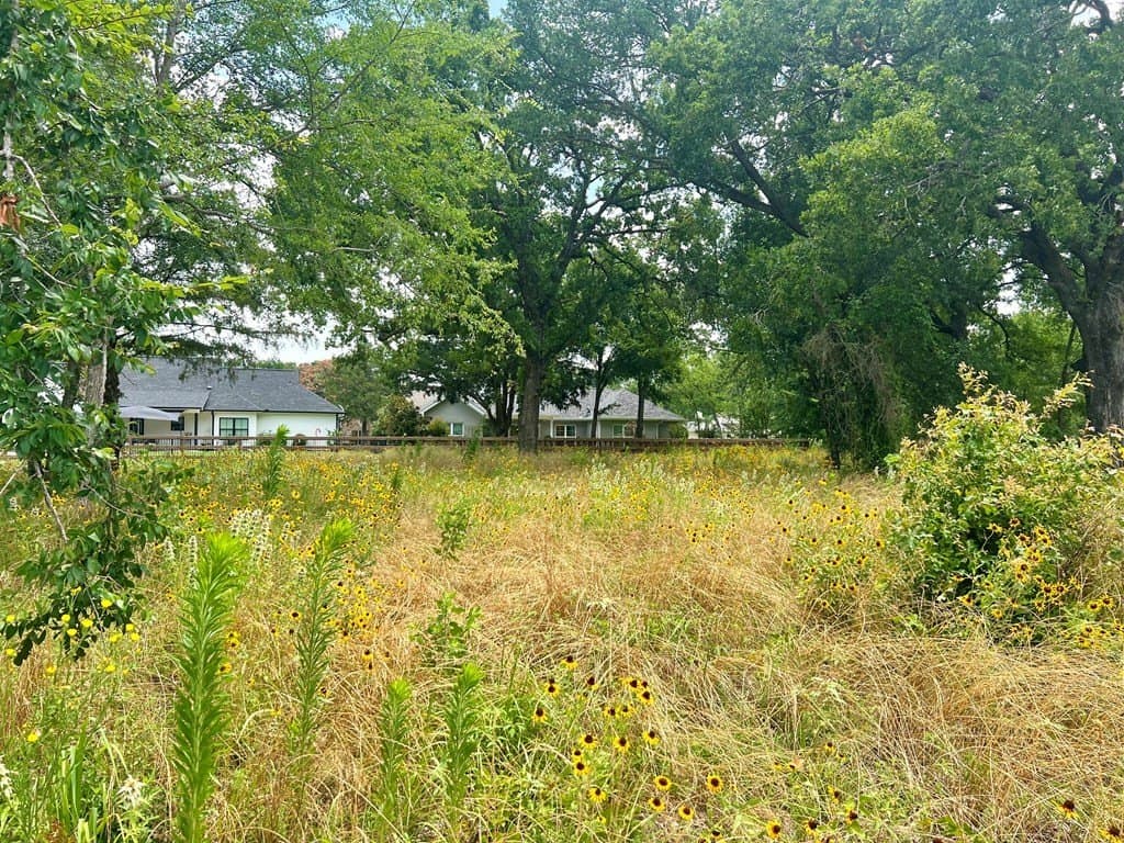 0.46 acres in Kaufman County - photo 12