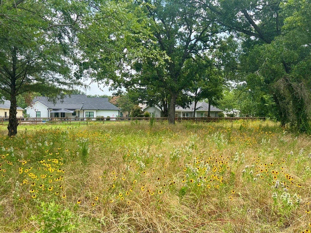 0.46 acres in Kaufman County - photo 13