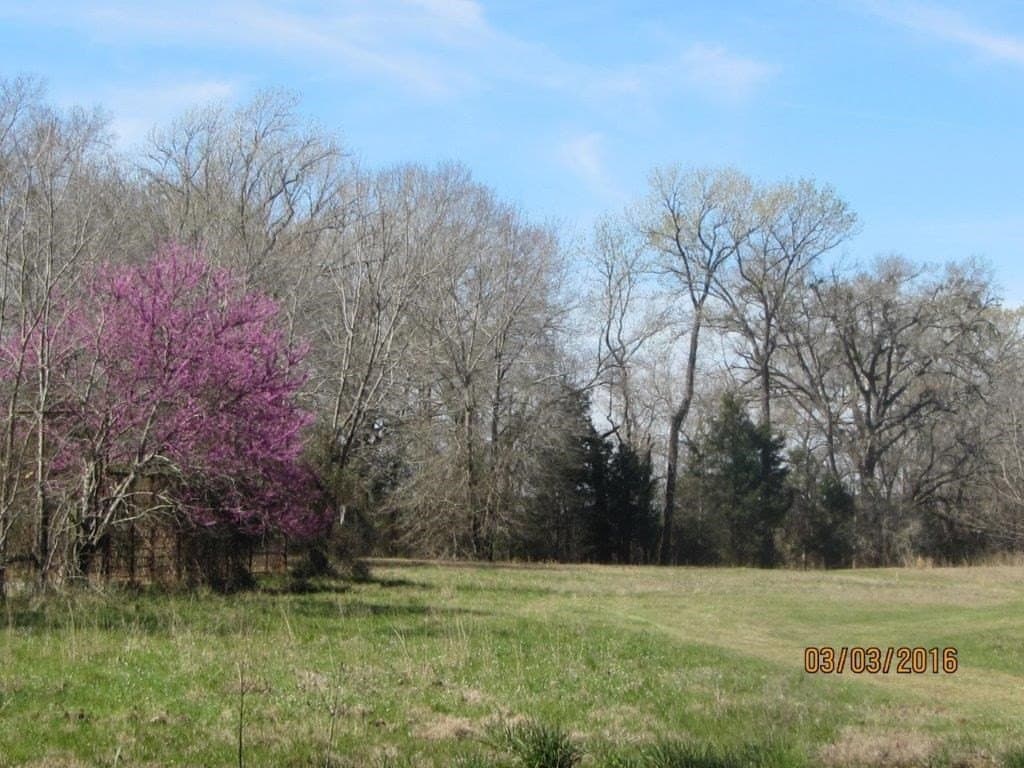 106.38 acres in Texas County - photo 10